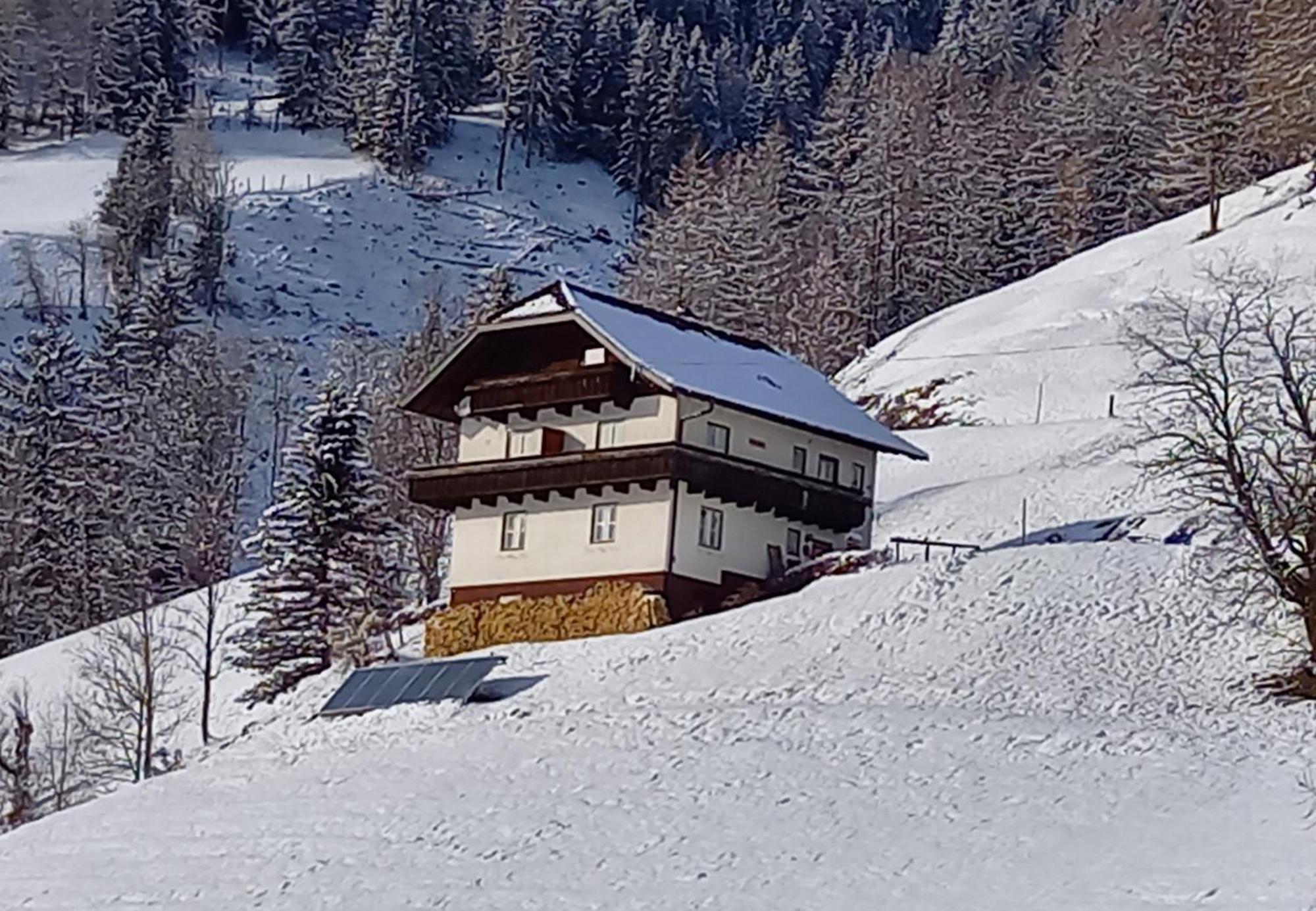 Tischnerhof Appartements Bad Kleinkirchheim Exterior photo